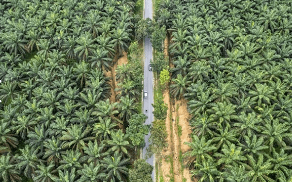 Foto Udara Arus Balik Jalur Alternatif Jambi-Sumbar