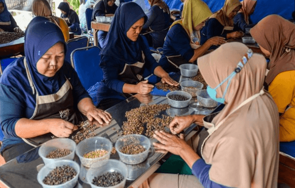 Kopi Asal Majalaya Tembus Pasar Mancanegara