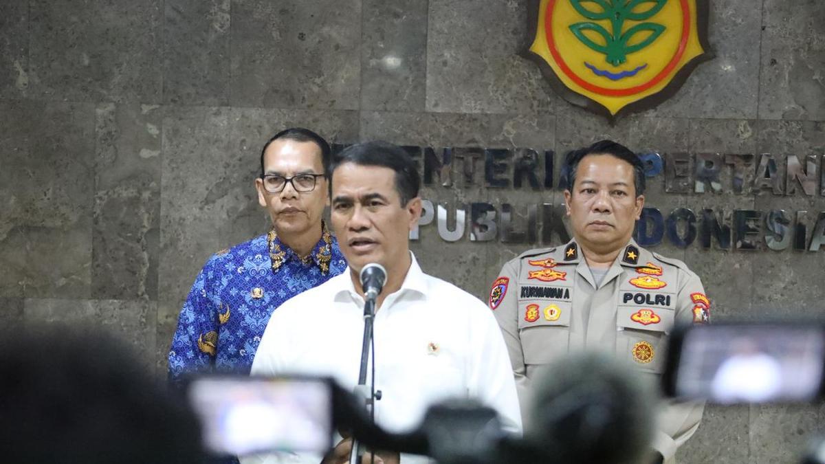 Petani Kelapa Bahagia, Harga Kelapa Bulat Naik Signifikan
