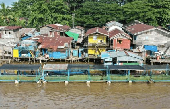 Ikan Mas dan Nila Jadi Andalan Pokdakan Maju Bersama di Samarinda Seberang