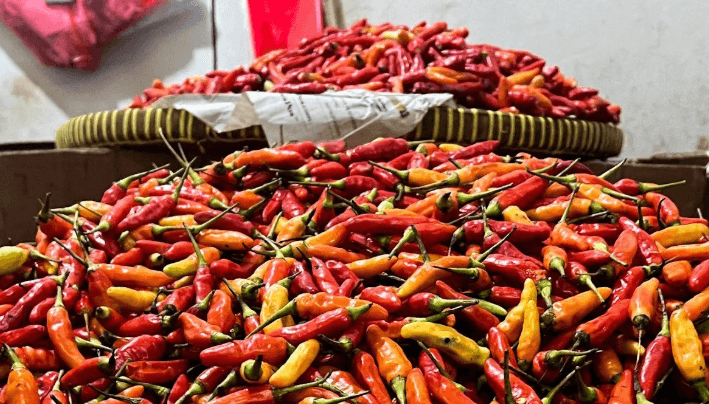 Harga Pangan Nasional Berfluktuasi: Cabai Naik, Beras dan Daging Turun