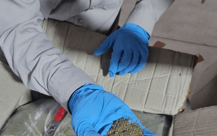 Ekspor Perdana Kratom ke India Tembus Rp50 Juta, Barantin Pastikan Penuhi Semua Prosedur