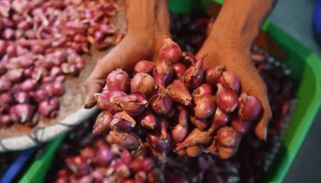 Bapanas Catat Fluktuasi Harga Sejumlah Komoditas, Daging Sapi dan Beras Premium Naik