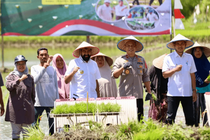 Luas Tanam Padi di Aceh Meningkat, Gubernur Apresiasi Bantuan dari Presiden Prabowo