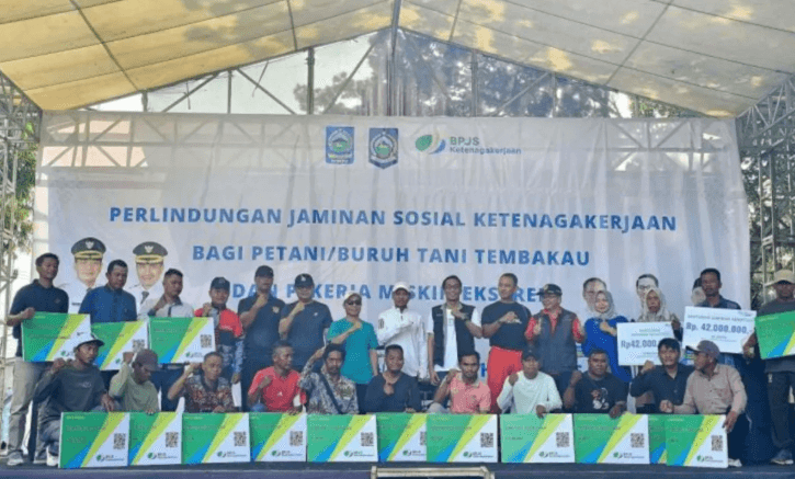 Ribuan Petani Tembakau di Dompu Didaftarkan BPJS Ketenagakerjaan, Bukti Nyata Kehadiran Negara