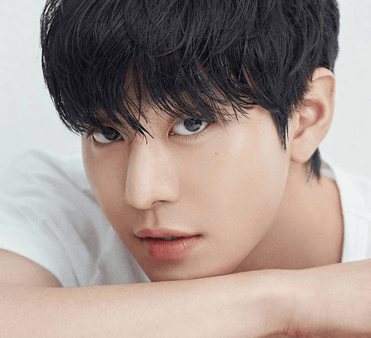 Gabung Proyek Internasional, Ahn Hyo-seop Isi Suara Karakter Utama di Film Animasi K-Pop
