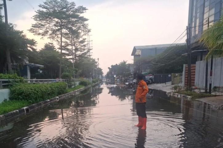 Banjir Rob di Pluit Surut Berkat Kolaborasi OPD dan Warga, BPBD Tetap Imbau Waspada
