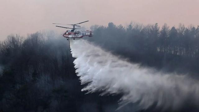 Kebakaran Hutan Gunung Hamji, Korea Selatan: Ribuan Warga Mengungsi, Pemadaman Terus Berlanjut