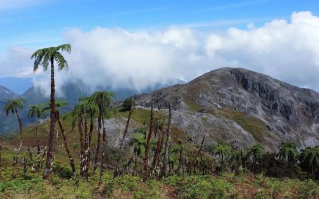 Pendakian Gunung Binaiya Ditutup Sementara Imbas Hilangnya Seorang Pendaki