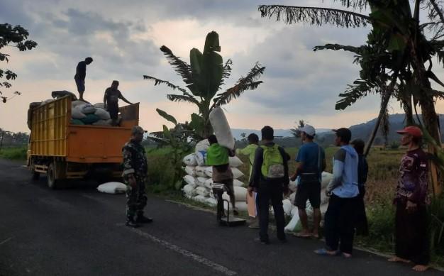 Petani Banyumas Raya Puas dengan Harga Gabah Tinggi dan Layanan Pembayaran Bulog