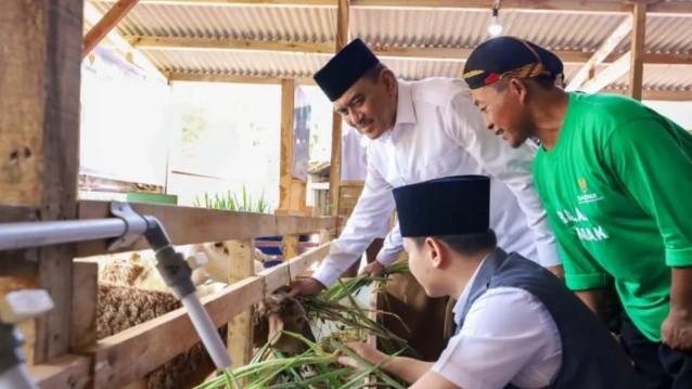Baznas Dirikan Balai Ternak di Trenggalek, 205 Domba Disalurkan untuk Berdayakan Mustahik