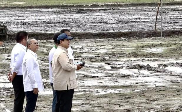 Tanam Raya Nasional Dipimpin Prabowo, Jadi Langkah Nyata Menuju Swasembada Beras Berkelanjutan