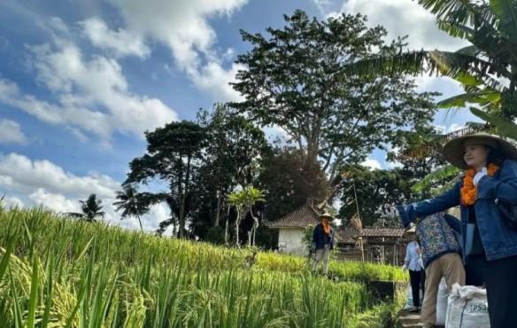 Desa Energi Berdikari Keliki Jadi Contoh TJSL Pertamina di Hadapan Delegasi Aljazair