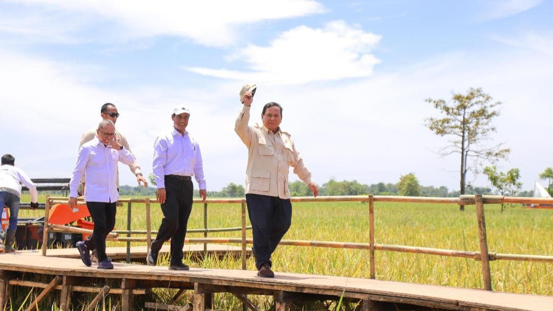Produksi Beras Semester I/2025 Diprediksi Meningkat 11,17%, Kementan: Swasembada Semakin Dekat
