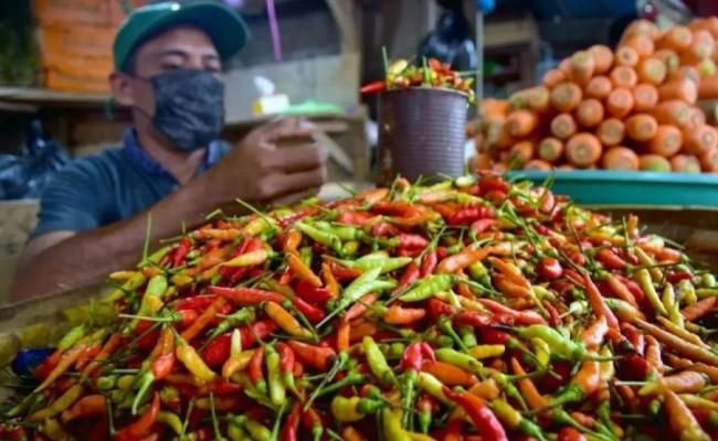 Bapanas Catat Penurunan Harga Cabai Rawit dan Daging Ayam pada 4 Mei 2025