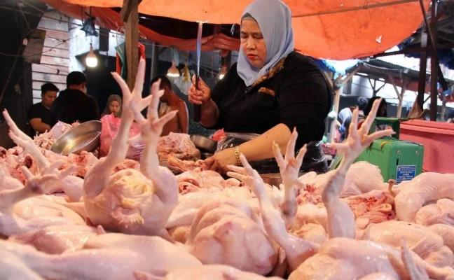 Harga Daging, Beras, dan Minyak Goreng Turun, Cabai Rawit dan Ikan Naik Tipis