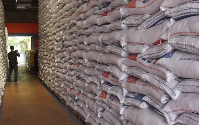 Bulog Aceh Serap 86 Ribu Ton Beras Lokal, Stok Aman Hingga 2026