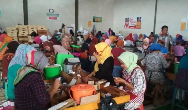 Evaluasi Sistem Cukai Dinilai Penting untuk Jaga Industri Hasil Tembakau