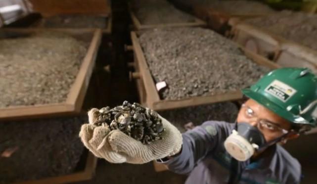 DAAZ Catatkan Pendapatan Rp3,08 Triliun pada Kuartal I-2025