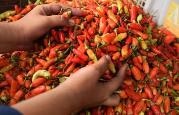 Harga Cabai dan Daging Ayam Meroket, Beras Premium Tembus Rp15.792 per Kg