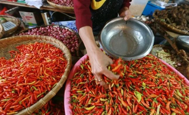 Bapanas: Harga Daging Ayam dan Cabai Rawit Naik, Beras Premium Turun Tipis