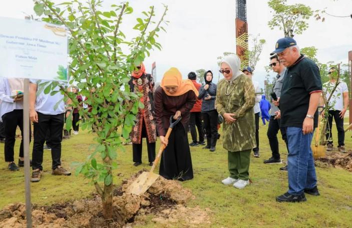 Gubernur Jatim Tanam Pohon Maja di IKN, Simbol Sinergi dan Semangat Majapahit Bangun Peradaban Baru