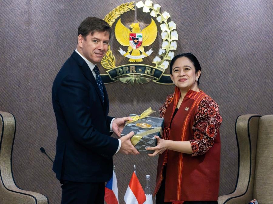 Puan Maharani Dorong Perluasan Kerja Sama Indonesia-Ceko