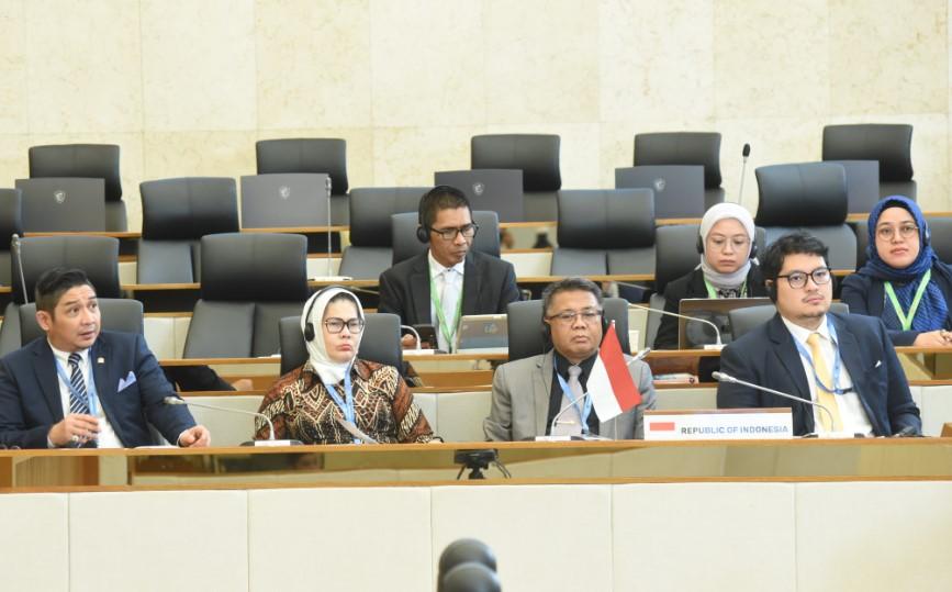 Sidang Komite Minoritas Muslim PUIC: Indonesia Dorong Solusi Jangka Panjang dan Konsensus Internasional