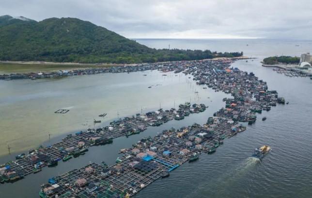 Museum Tanka di China Selatan Tampilkan Warisan Budaya Maritim Komunitas Perahu