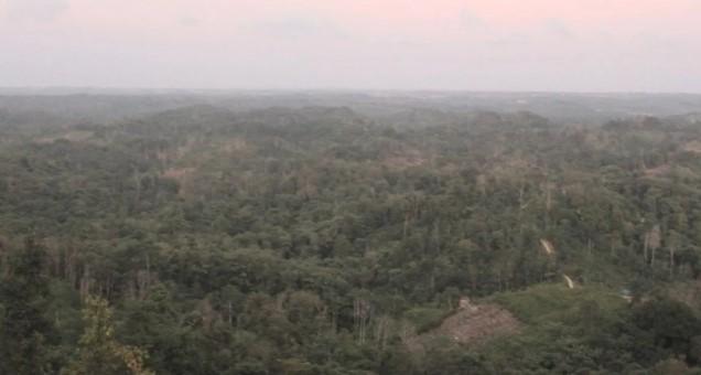 Orang Balik di Sepaku: Suku Pemalu yang Kini Tersorot karena IKN