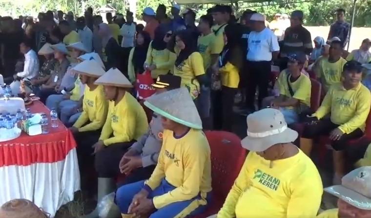 Petani Keren: Strategi Muna Barat Libatkan Anak Muda dalam Pertanian Jagung