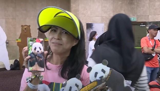 Malaysia Lepas Panda Xing Xing dan Liang Liang Kembali ke China Setelah 11 Tahun