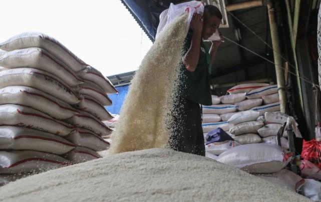 Cadangan Beras Capai 3,5 Juta Ton, Terbesar dalam Hampir 60 Tahun