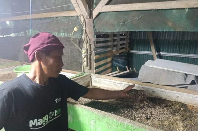 Dompet Dhuafa Kembangkan Budidaya Maggot untuk Atasi Sampah dan Tambah Penghasilan Mustahik