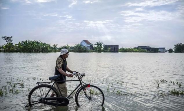 270 Hektare Sawah di Demak Terendam Banjir, Pemerintah Gerak Cepat Tangani Dampak Luapan Sungai Tuntang