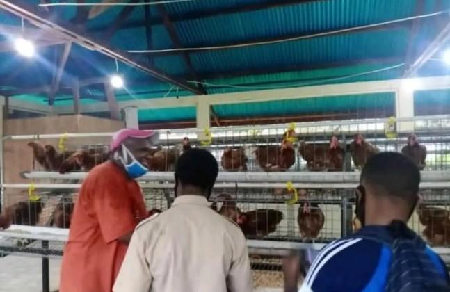 Pemetaan SMK di Papua Dipercepat, Pemerintah Fokus Cetak Lulusan Siap Kerja