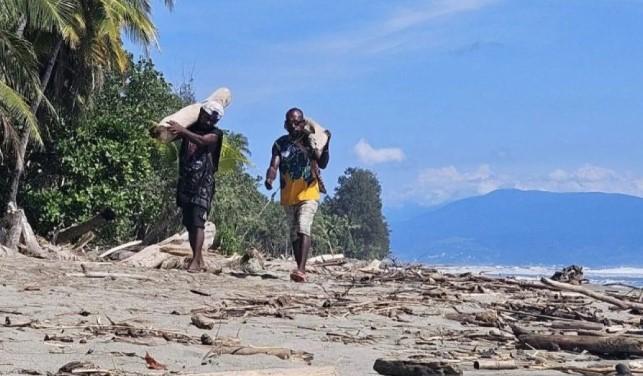 Kayu Hanyut Jadi Sumber Rezeki, Warga Skouw Suplai Biomassa ke PLTU Holtekamp
