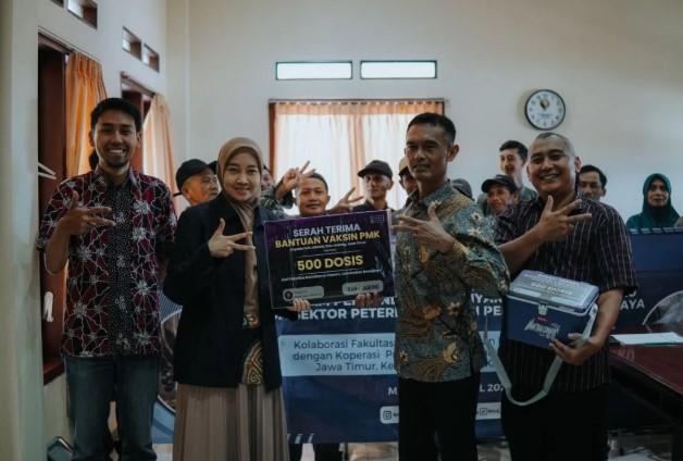 Fakultas Kedokteran Hewan UB Gelar Vaksinasi PMK, Targetkan Indonesia Bebas PMK 2035