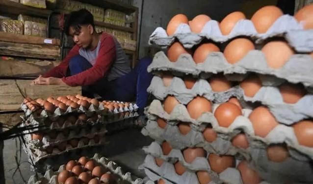 Tren Penurunan Terjadi di Komoditas Pokok, Kenaikan Tipis Terlihat pada Kedelai dan Daging Sapi