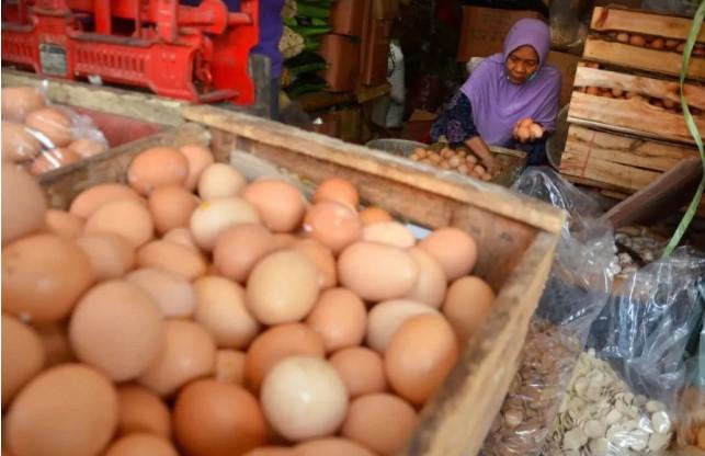 Bapanas Rilis Update Harga Pangan: Telur dan Beras Premium Naik, Bawang Merah dan Jagung Turun