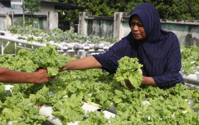 Kemendes Dorong Pemdes Masukkan Pekarangan Pangan Bergizi dalam Rencana Pembangunan Desa