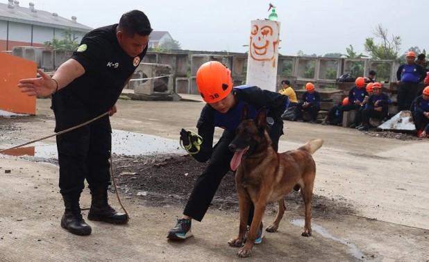 Basarnas Luncurkan Unit K9 Pertama, Siap Dukung Operasi SAR dengan Teknologi Biologis