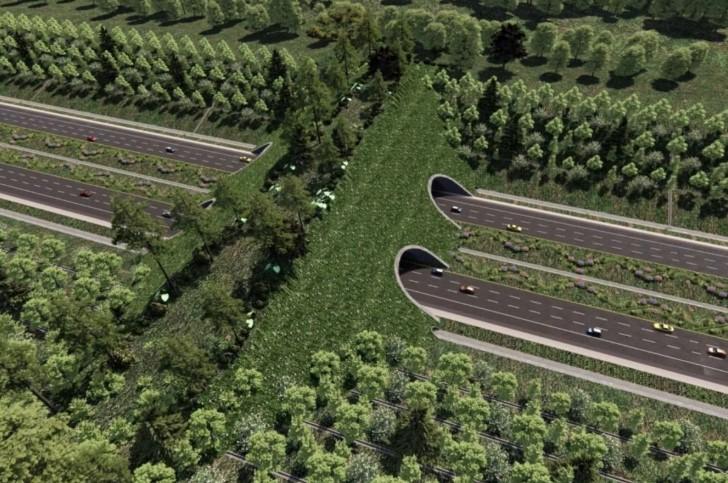 Pembangunan Jalan Tol IKN 3B-2 Dipercepat, Jadi Tulang Punggung Konektivitas Nusantara