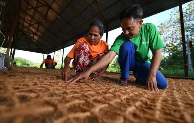 Pemerintah Fokus Kurangi Polusi, Truk Listrik Jadi Prioritas Elektrifikasi Kendaraan