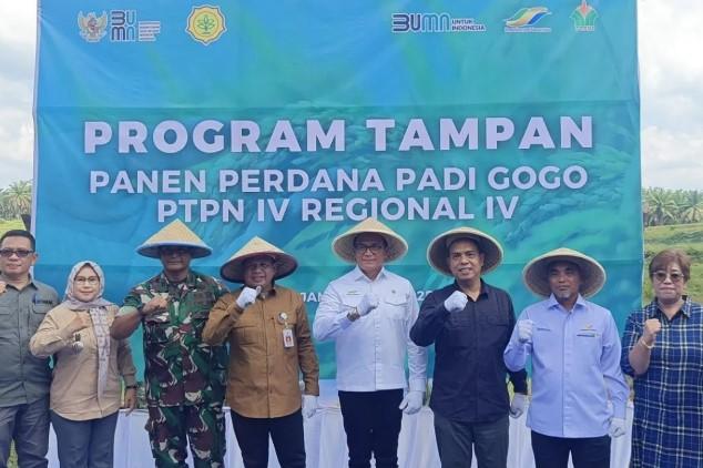 Kementan Apresiasi Panen Padi Gogo di Lahan Sawit Jambi, Kolaborasi Perkuat Ketahanan Pangan Nasional