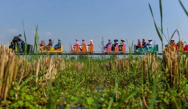 Kereta Wisata Menyusuri Persawahan, Sajikan Atraksi Edukatif dan Rekreatif