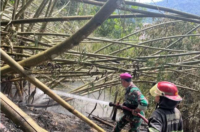 TNI AL Padamkan Kebakaran Lahan di Bukit Putus Putus, Satu Hektare Terbakar
