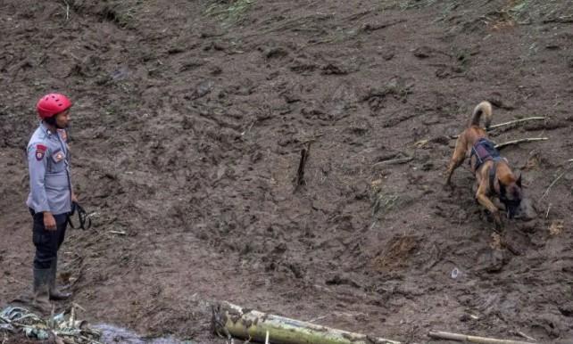 Tanah Longsor Jadi Bencana Paling Mematikan, Pemerintah Kembangkan Sistem Peringatan Dini Nasional