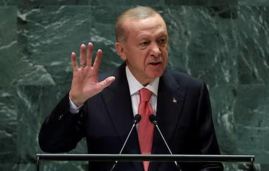 Erdogan Usulkan Pertemuan Putin-Zelensky-Trump di Turki: "Kami Siap Fasilitasi Demi Perdamaian"