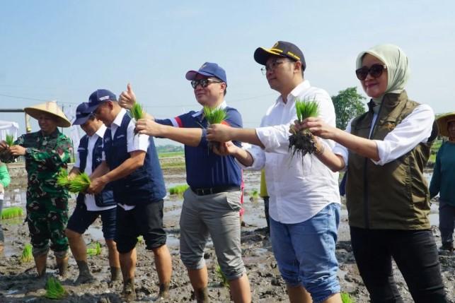 Sinergi pemerintah dan petani dorong ketahanan pangan berkelanjutan